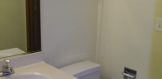 2518 Warm Springs Ln (9) Powder Room
