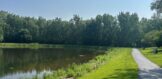 thumbnail_IMG_1951