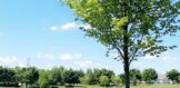 thumbnail_IMG_5305