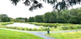 thumbnail_IMG_2475